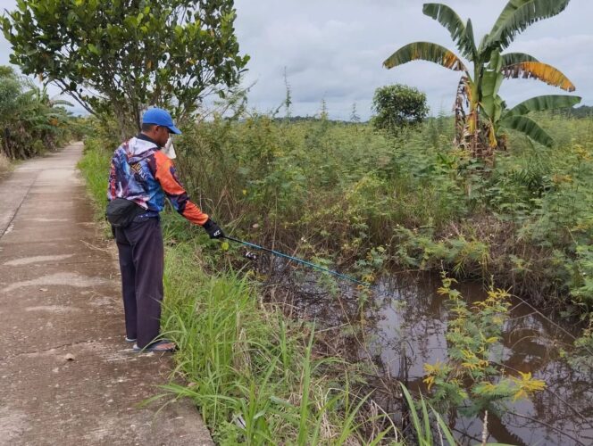 
					Demam Jukut Puyu Sebulu: Hobi Jadi Penggerak Ekonomi Desa