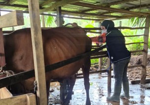 Foto : Maharani/Distan PPU