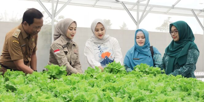 
					BUMDes Tukum Sulap Lahan Desa Jadi Pabrik Selada Modern