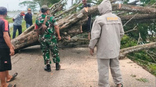
					Sinergi Aparat dan Warga Taklukkan Pohon Tumbang di Pebayuran