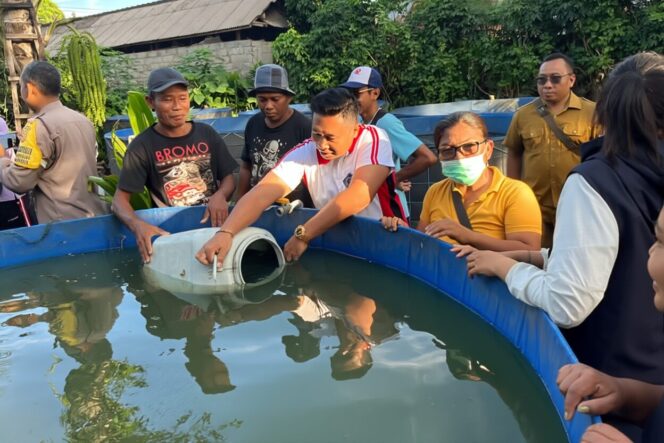 
					Limbah Daging Jadi Cuan: Rahasia “Berlian” Desa Darmasaba