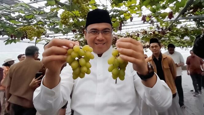 
					Rektor IPB University, Alim Setiawan Slamet
