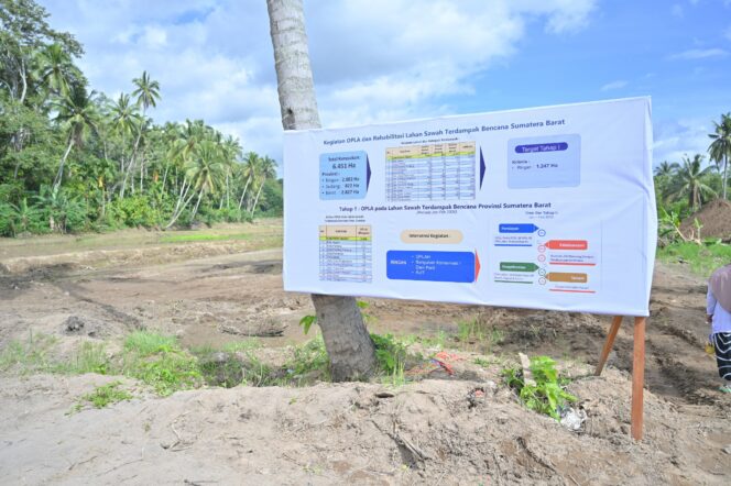 
					Sawah Sumbar Bangkit: Rehabilitasi Lahan Desa Dipercepat 100 Persen