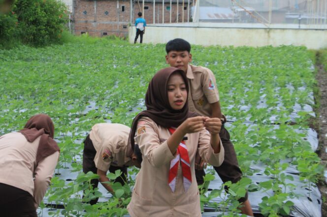 
					Regenerasi Petani Milenial: SMK Bawen Siapkan Panen Raya