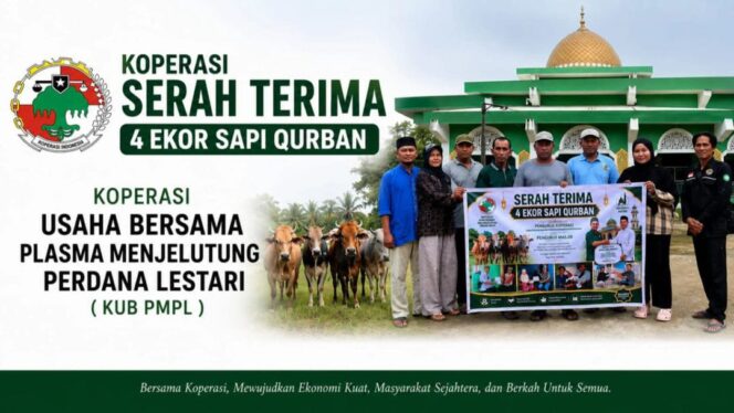 
					Cara KUB Plasma Menjelutung Perdana Lestari Berbagi Berkah