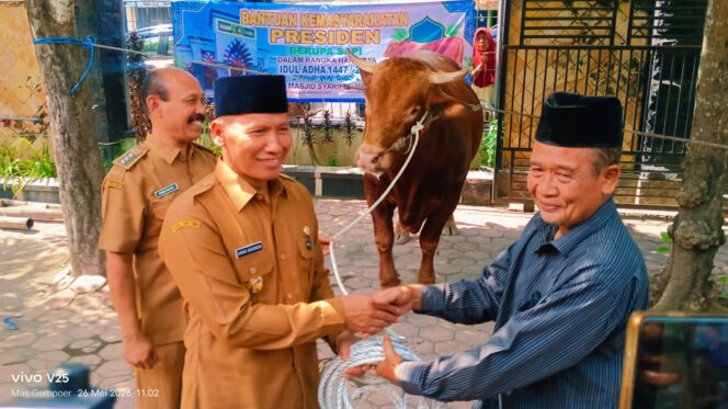 
					Sapi ‘Monster’ Limosin 1,05 Ton Kiriman Presiden Prabowo Tiba di Tulungagung