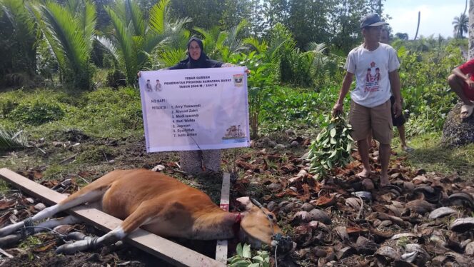 
					Pemprov Sumbar Pastikan Tebar Qurban di Mentawai Tepat Sasaran