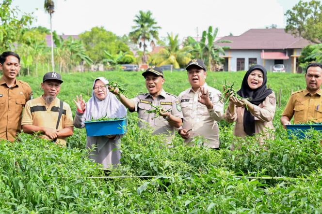 
					Menaklukkan Tanah Pesisir, BUMDes Pasiran Panen Tonan Cabai