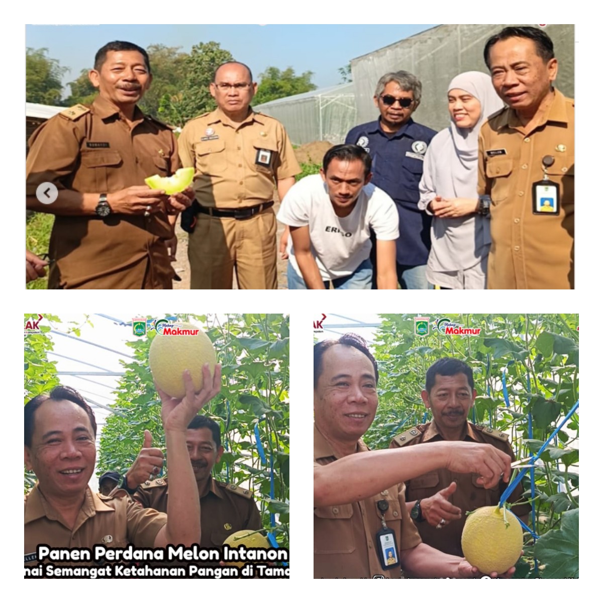 Tata Kelola Desa Tamanharjo