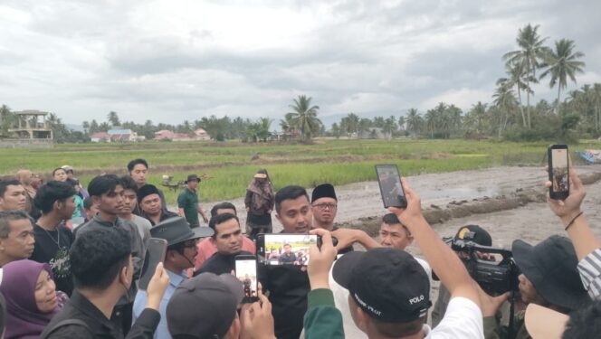 
					Tinggalkan Semaian Alami Petani Solok Uji Tanam Instan