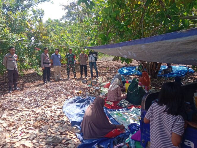 
					Kisah Warga Pasimarannu: Evakuasi Mandiri Cepat dari Gempa