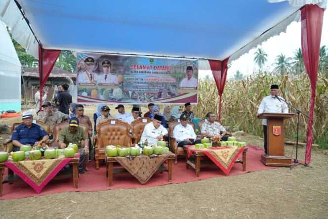 
					Teknologi Canggih Pertanian Sumbar Sengsarakan Hasil Sortiran Petani