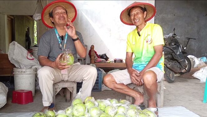 
					Kisah Perangkat Desa Tuntang Miliki Omset Jambu Puluhan Juta
