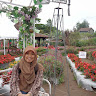 Ade Tria